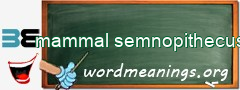 WordMeaning blackboard for mammal semnopithecus